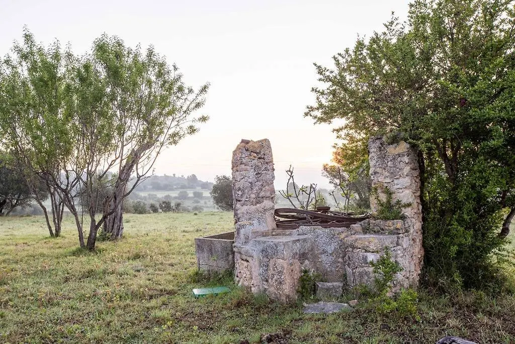 Villa Mas Coquells, Preciosa Masia En Plena Natura Vilanant