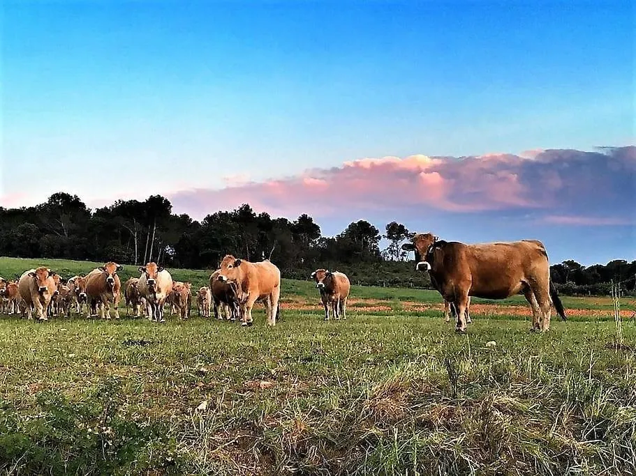 Mas Coquells, Preciosa Masia En Plena Natura Vilanant Villa